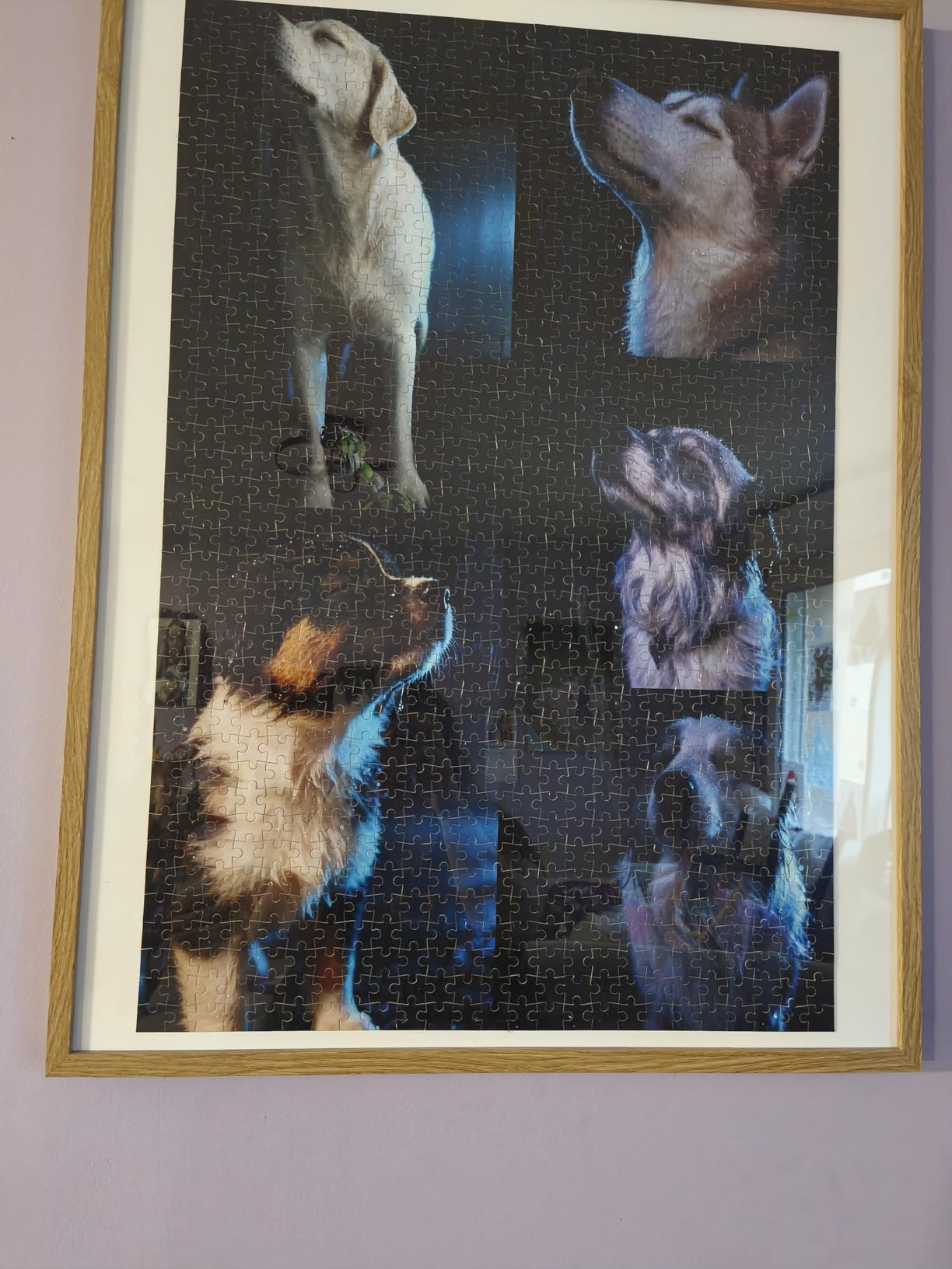 08d662604bc62bc9344e42f28d47207e